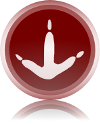 Sabayon 4.1