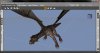 DAZ 3D Studio