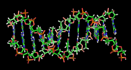 DNA
