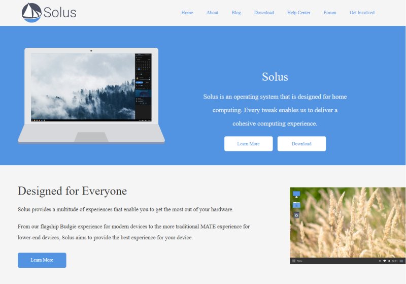 Website