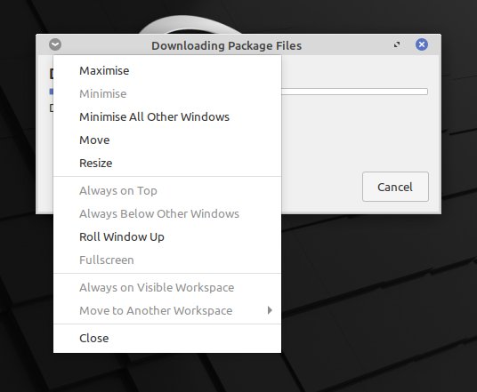 Minimize bug