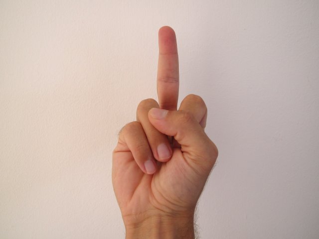 Finger