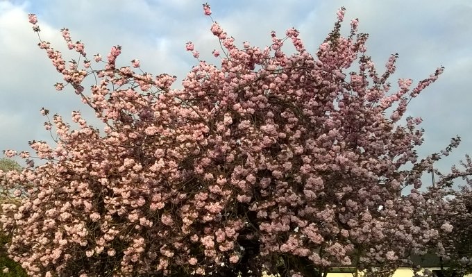 Camera, another shot