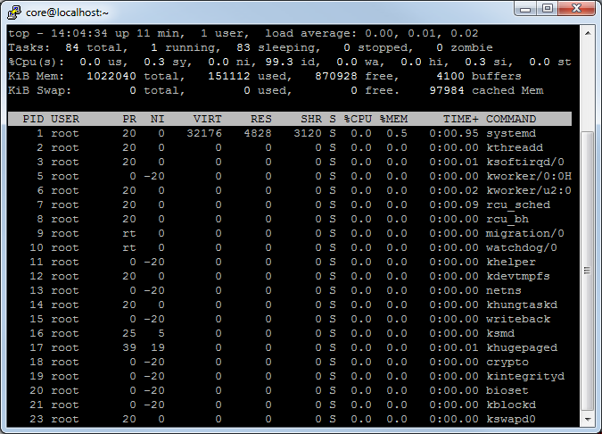CoreOS running