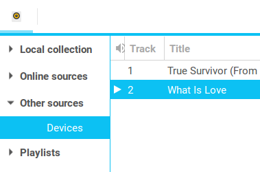 Ubuntu Phone not recognized properly