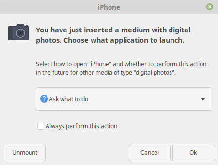 iPhone inserted