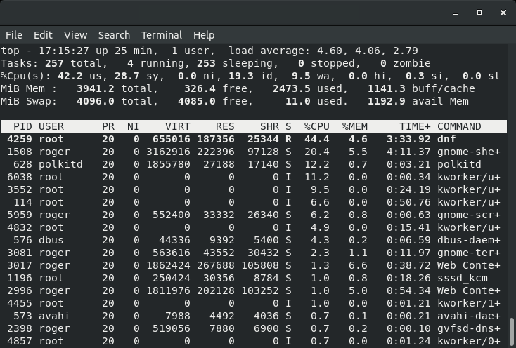 Swap usage