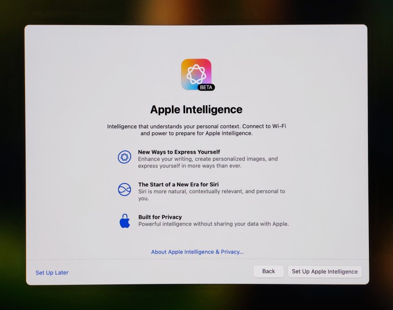 Apple Intelligence, set up later