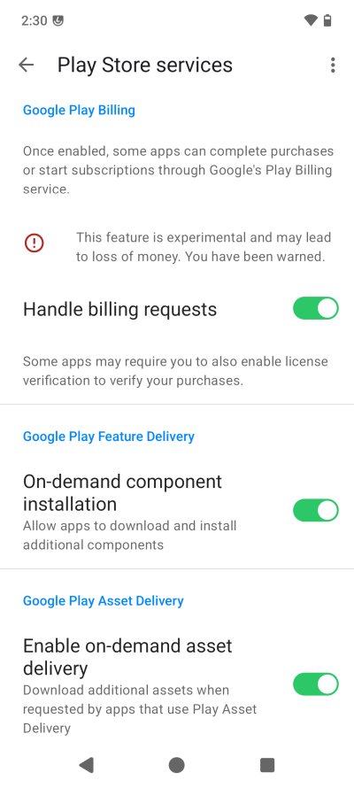 Play Store 2