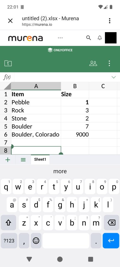 Spreadsheet