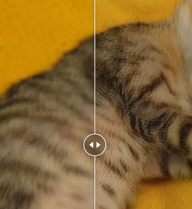 Cat example, zoomed