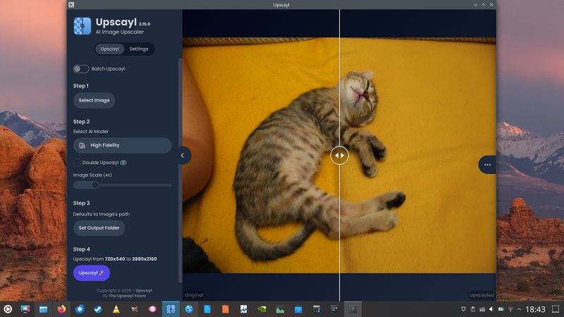 Cat example