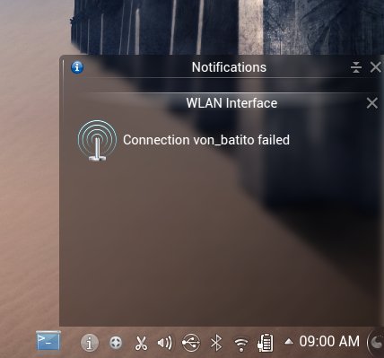 Wireless bogus notification