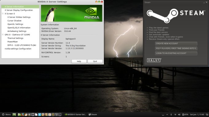 Nvidia & Steam setup