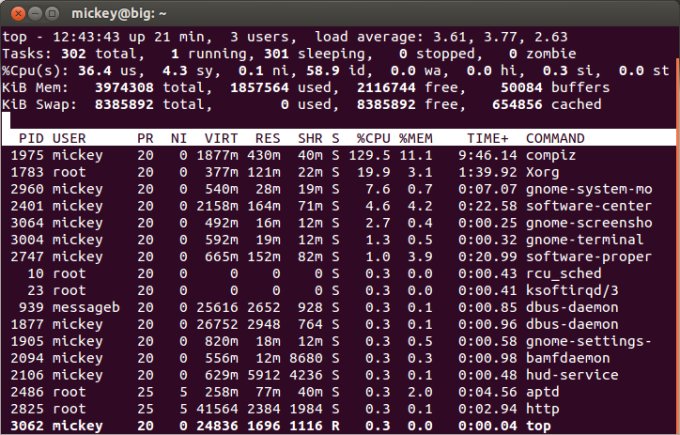 Compiz, high usage
