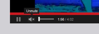 Flash muted