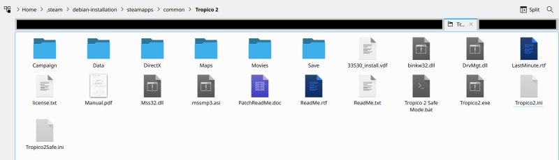 Steam folder