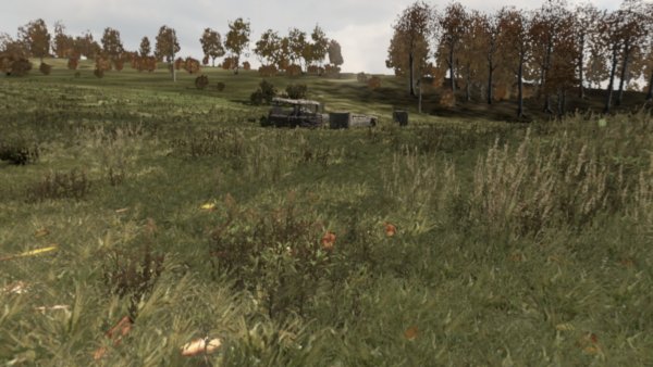 Landscape
