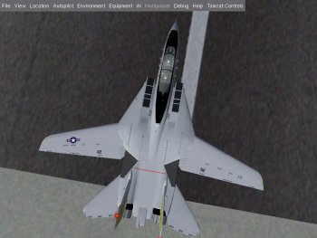 F-14 top view