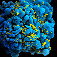 Virus icon