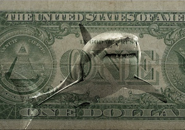 Shark