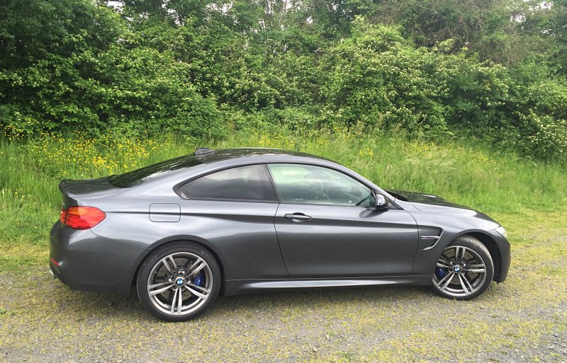 BMW M4, in a forest