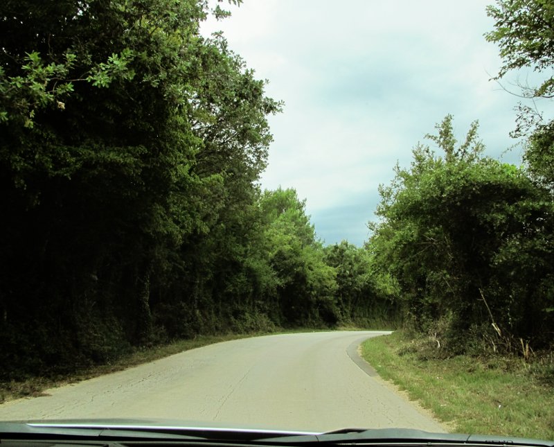 Cool nature, bendy roads 1