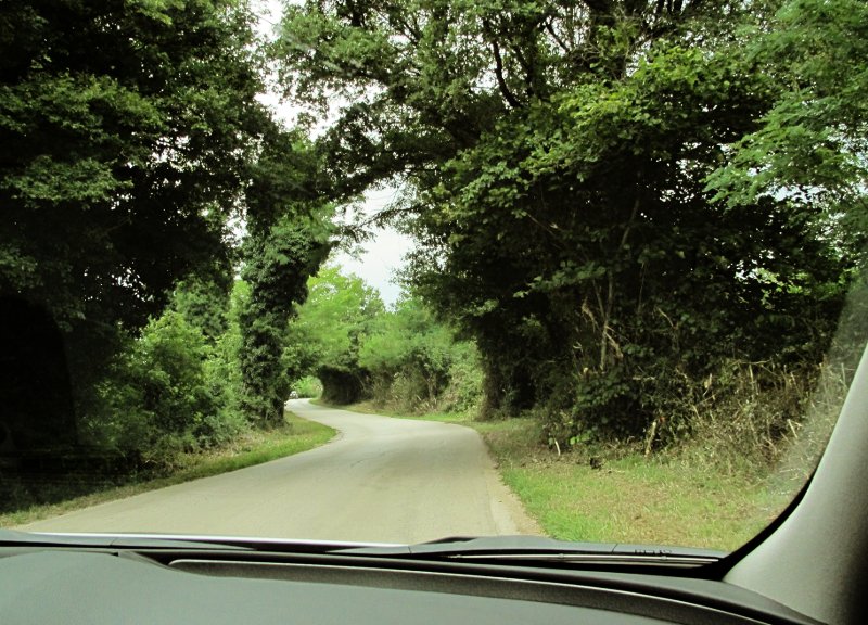 Cool nature, bendy roads 2