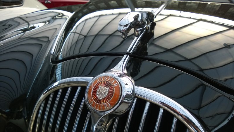 Jaguar, classy