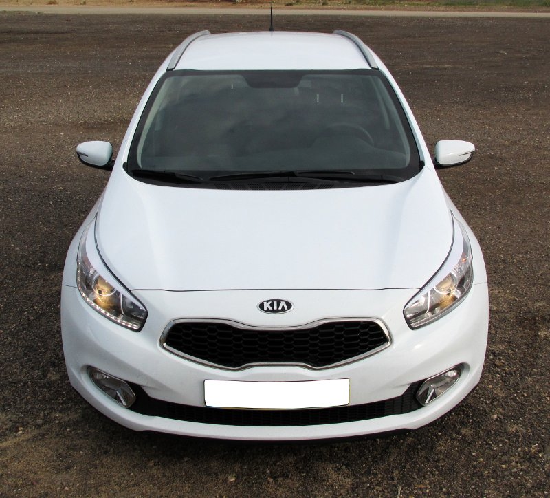 Front view, shark eyes