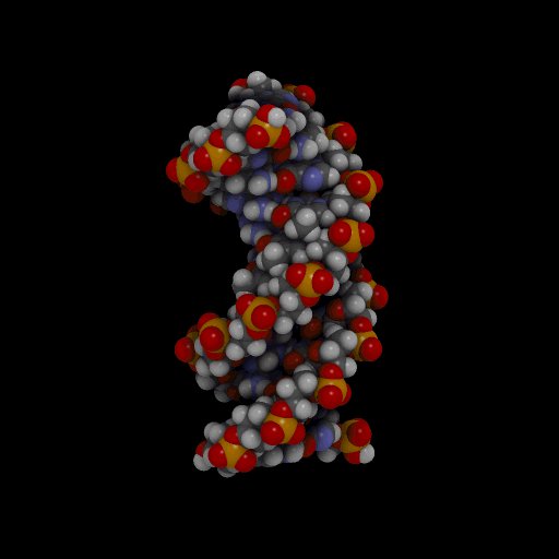 DNA